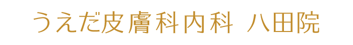 うえだ皮膚科内科　八田院