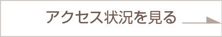 アクセス状況を見る