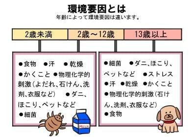 環境要因