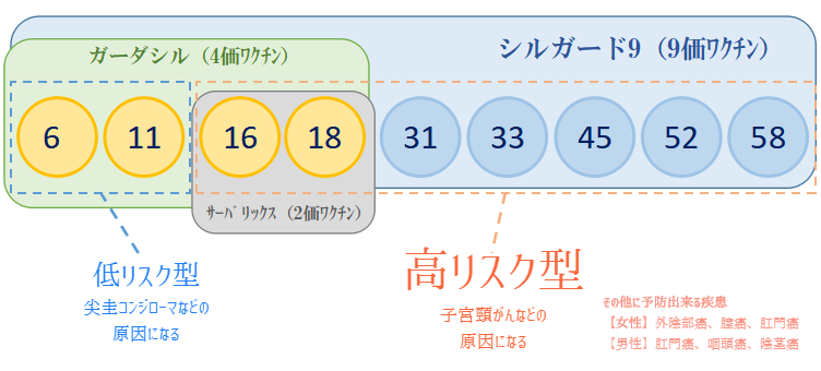 子宮頸がんワクチンの比較