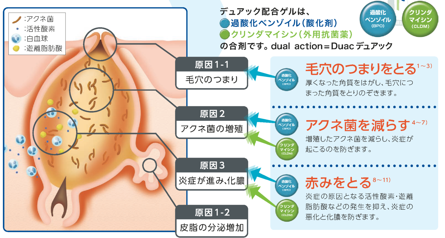 デュアックの作用