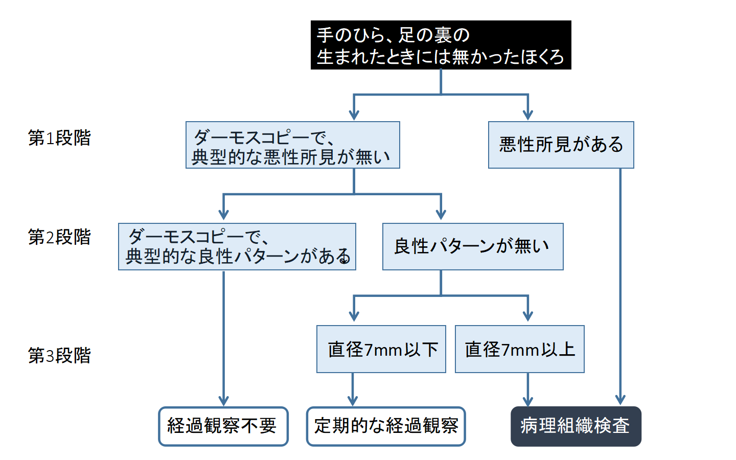 足底メラノーマの診断アルゴリズム
